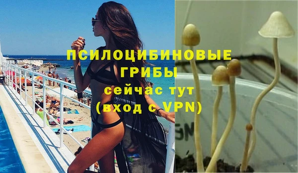 спиды Армянск