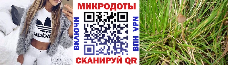 Галлюциногенные грибы Cubensis  Сковородино 