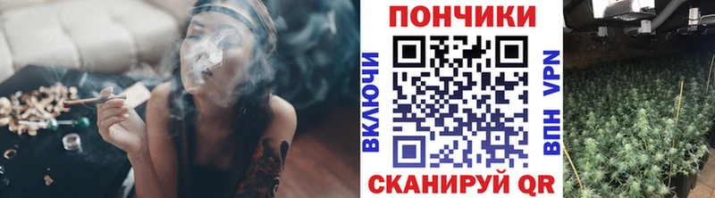 наркота  Сковородино  Каннабис VHQ 